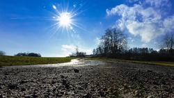Эколог финского института предупредил о последствиях бесснежной зимы