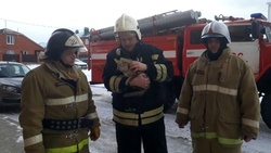 Яковлевские спасатели помогли жителям дома по улице Берёзовой достать застрявшую кошку