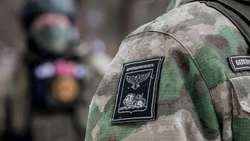 Вячеслав Гладков озвучил порядок выплаты премий бойцам «Барс-Белгород»