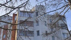 Белгородцев предупредили о ночных заморозках  
