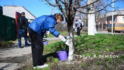 Более 900 человек вышли на уборку Белгорода