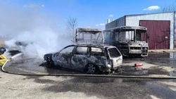 Дроны ВСУ уничтожили шесть транспортных средств в Грайворонском округе 