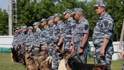 Соревнования специалистов-кинологов прошли в Белгородской области