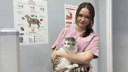 Айболит из 21 века. Ветеринарный врач Ангелина Шатрова - о спасении раненых в ходе СВО животных 