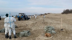 Белгородцы отправились спасать побережье Анапы от последствий разлива мазута