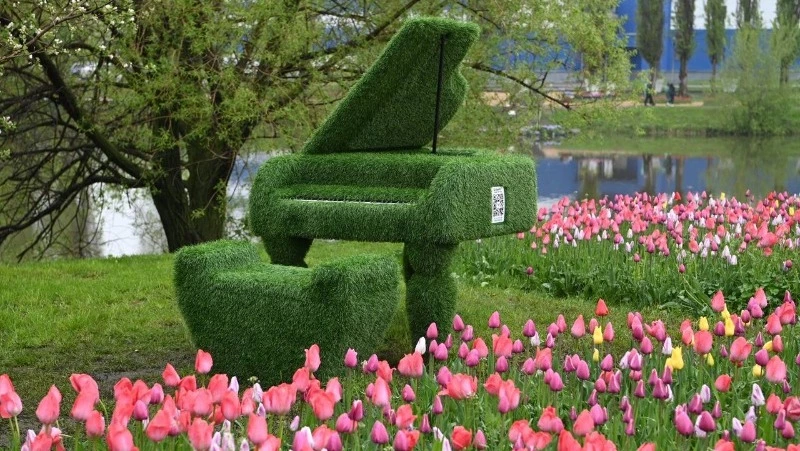 Гладков ответил на критику о покупке тюльпанов для Белгорода