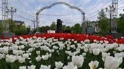 Конкурс молодых художников «Белгородская палитра» стартовал в регионе