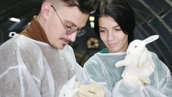 Белгородские биотехнологи научились получать дающих гипоаллергенное молоко крольчат 