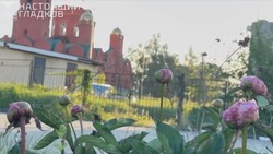 Материал