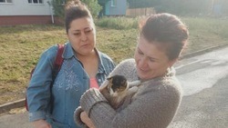Спасатели помогли жительнице города Строителя вытащить застрявшего в автомобиле кота