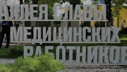 Голосование по выбору кандидатур для Аллеи Славы медработников стартовало в Белгородской области