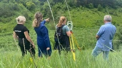 В Яковлево произошёл разлив канализационных стоков в лесополосе 