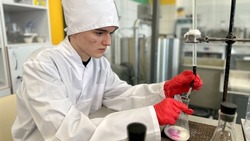 Региональный этап чемпионата по профмастерству стартует в Белгородской области 