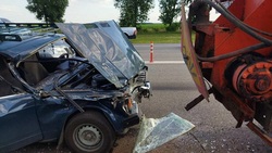 74-летний водитель ВАЗа врезался в стоящий на трассе грузовик в Яковлевском округе