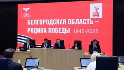 Вячеслав Гладков сообщил об ожидании нового транша для выплат жителям приграничья 