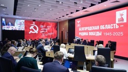 Вячеслав Гладков поручил разработать комплексные меры поддержки трудоустройства жителей приграничья