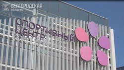 Вячеслав Гладков рассказал о восстановлении пострадавших от обстрелов ВСУ спортобъектов 