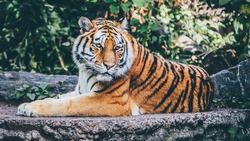 Белгородский зоопарк закроется в середине января на зиму