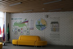 Белгородцы подвели итоги реализации нацпроекта «Образование» за пять лет 