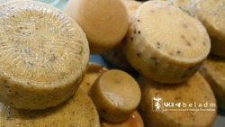 Сельскохозяйственная ярмарка пройдёт в Белгороде 22 февраля