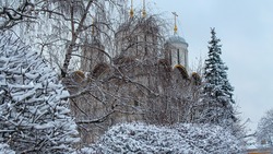 Патриарх Кирилл предложил существенно ограничить аборты в России