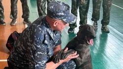 Белгородские полицейские познакомили участников сборов «Армата» со своей профессией 