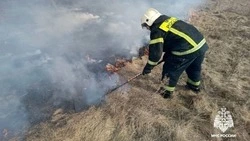Резкий скачок количества ландшафтных пожаров отметили в Белгородской области 