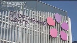 Вячеслав Гладков рассказал о восстановлении пострадавших от обстрелов ВСУ спортобъектов 