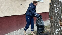 Более 45 тысяч белгородских подростков получили временную работу в 2024 году