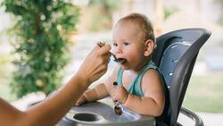 Свыше 1,5 тысяч белгородских семей получили компенсацию за детское питание с начала года
