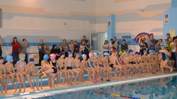 260 ребят стали участниками новогодних соревнований по плаванию в городе Строителе