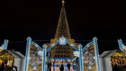 Сборка главной новогодней ели Белгорода стартовала на Соборной площади