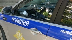 59 пешеходов оштрафовали в Белгородской области за сутки 