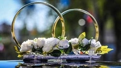 В Белгородской области подвели итоги свадебного сезона 2025 года