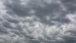 Дроны ВСУ атаковали жилые дома в белгородском селе Николаевка