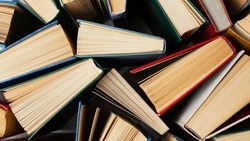 Минпросвещения РФ создаст пул учебников по школьным предметам