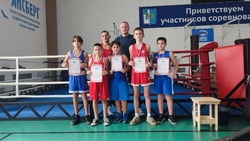 Яковлевские спортсмены завоевали шесть медалей на открытом турнире по боксу «Открытый ринг»