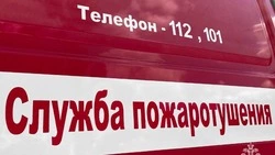 Тревога в торговом центре «РИО» в Белгороде оказалось ложной