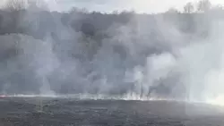 1,4 тысячи «квадратов» сухой травы выгорело в Белгородской области за сутки