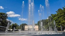 Мэр Белгорода рассказал о новых деревьях в парке имени Ленина