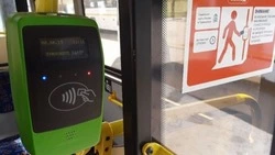 Белгородские многодетные семьи смогут получить компенсацию расходов на проезд детей к месту учёбы