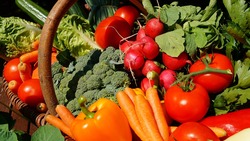 Овощи из «борщевого набора» обойдутся жителям Яковлевского округа в 113 рублей