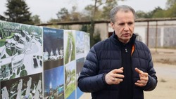 Вячеслав Гладков утвердил концепцию развития второй очереди «Бригантины "Белогорье"»