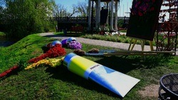 Фестиваль «Белгород в цвету» пройдёт в регионе со 2 по 4 сентября