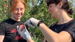 Студенты Дмитриевского аграрного колледжа отправились на сбор яблок в ООО «Сады Белогорья»