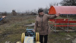 Центр притяжения. Как Мария Мороз из села Бутово возглавила ТОС «Берёзки»