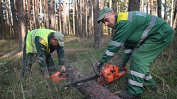 Вячеслав Гладков пригласил белгородцев на субботник в Сосновку