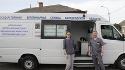 Более 231 тысяч животных привили от бешенства в Белгородской области