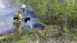 МЧС представило статистику по ландшафтным пожарам в Белгородской области за неделю
