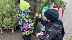 Ёлочные базары в Белгороде стали консультационными площадками по ПДД